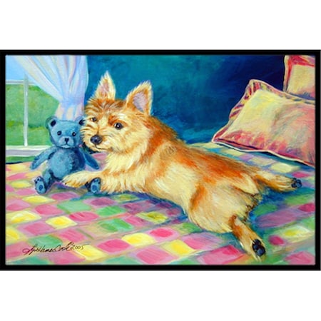 Carolines Treasures 24 x 36 in. Norwich Terrier Indoor Or Outdoor Doormat 7275JMAT
